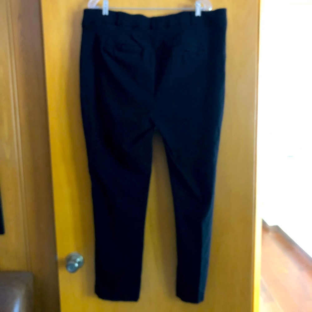 Lane Bryant “The Allie” Pants